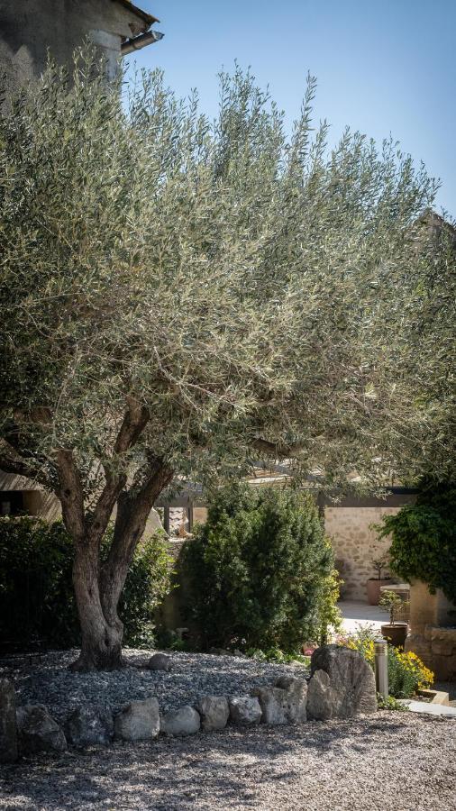 L'Ostal - Bed & Breakfast - Chambres Et Suites De 25 A 40M2 - Spa 圣伊莱尔厄齐尔 外观 照片
